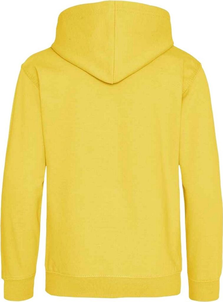 Awdis - Kapuzenpullover für Kinder PC5102 (152-158) (Seegrün)