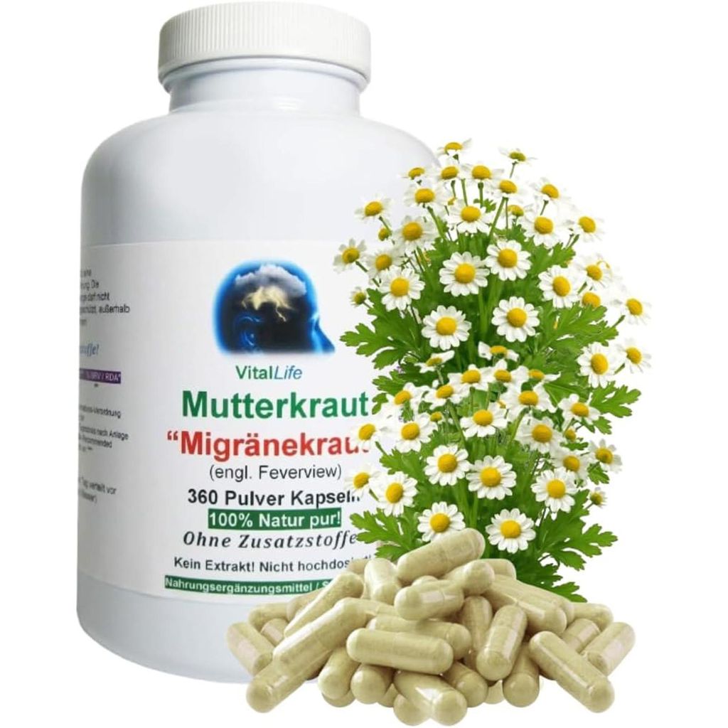 Mutterkraut 360 Pulver Kapseln - Migränekraut Feverfew nach Produktbild 