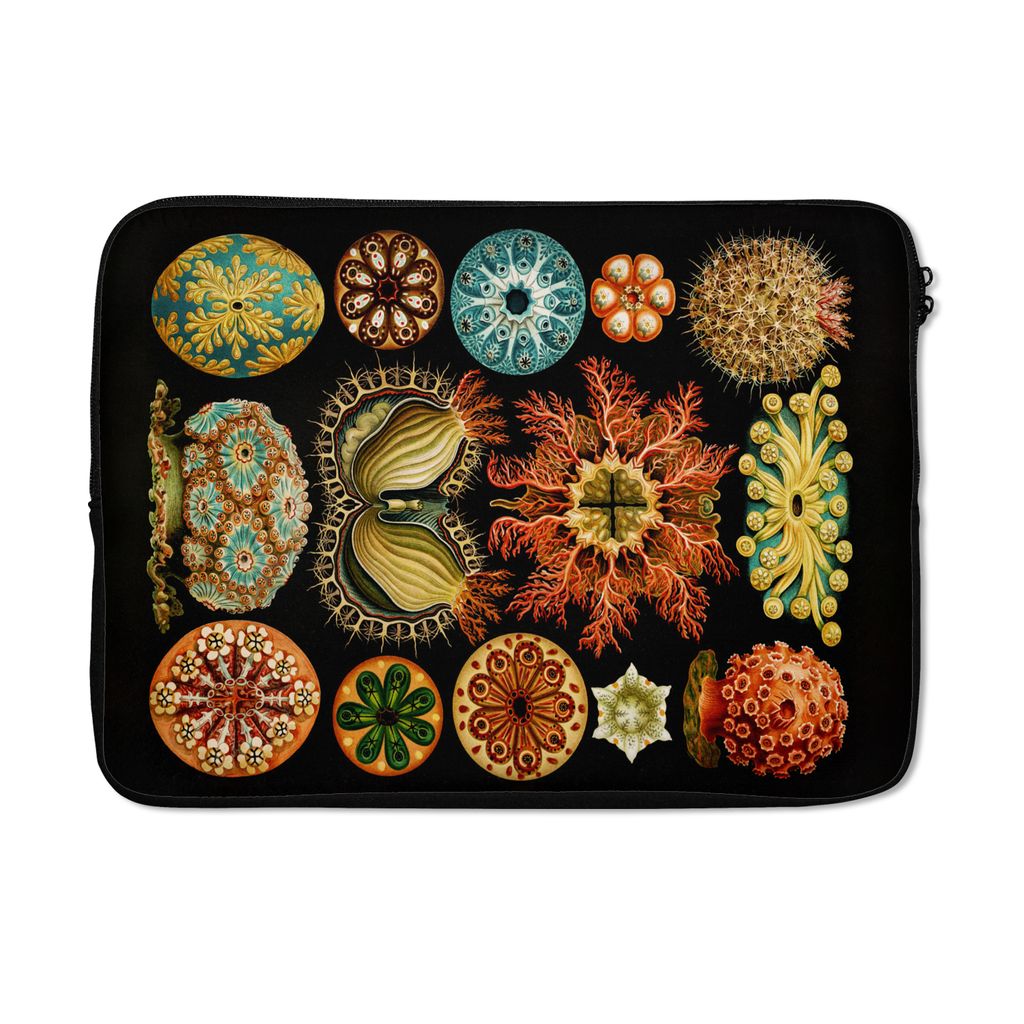 MuchoWow Laptop Hülle 13 Zoll Vintage - Ernst Haeckel - Meerestier - Natur - Meer - Kunst Laptoptasche - Laptophülle - Sleeve - Rundumschutz