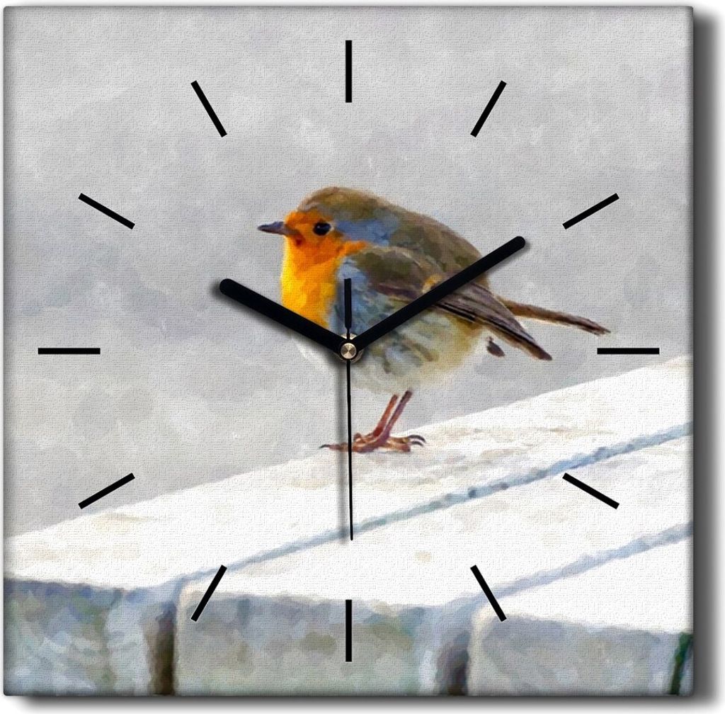 Coloray Hodiny Unikátní 30x30 cm Tiché hodiny Pro obývací pokoj a kuchyň Nástěnné hodiny Plátno Černé ručičky hodin - Pet Bird Snow