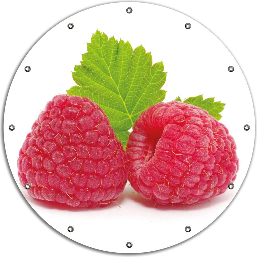 Wallario rundes Outdoor-Poster für Garten oder Balkon, Motiv Himbeeren mit grünem Blatt auf weißem Grund, 90 cm Durchmesser