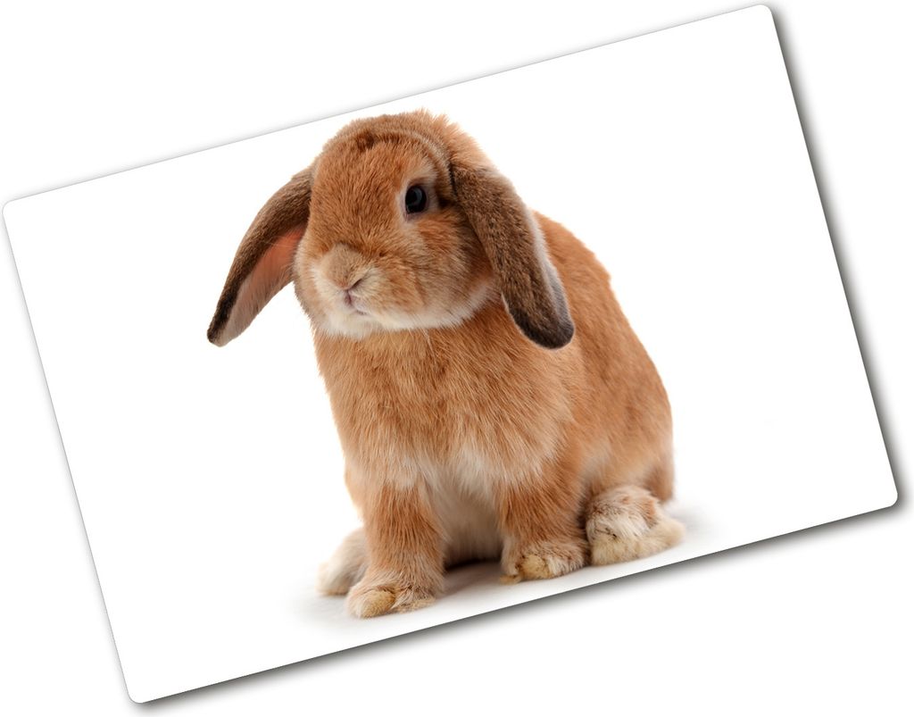 Tulup Glas Herdabdeckplatte - 80x52 cm - Glaskeramikkochfeld-Abdeckung Spritzschutz Glasabdeckplatte - Einteilig - Tiere - Rotes Kaninchen - Orange