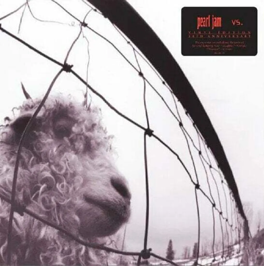 Vinyle Pearl Jam VS 30e Anniversaire LP Transparent Coloré Son Remasterisé