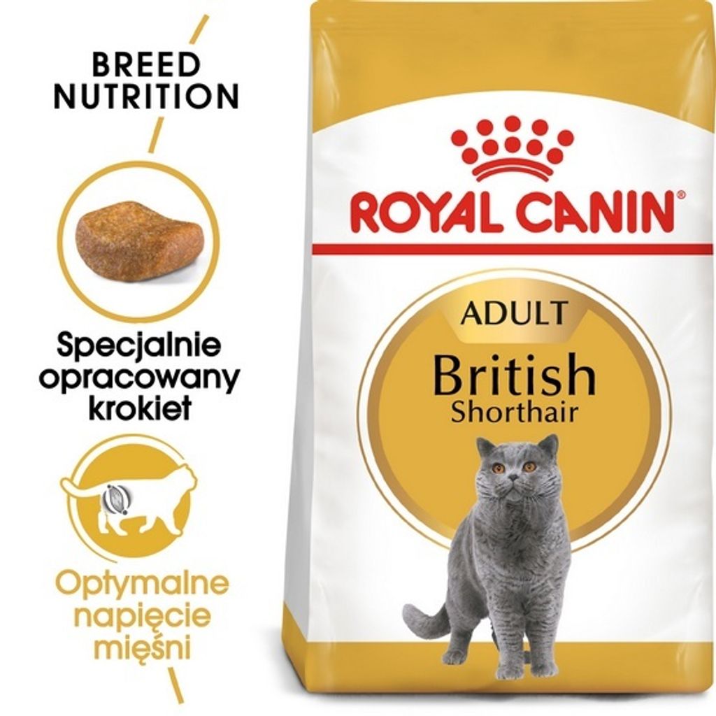 Royal Canin Fbn British Shorthair 10Kg, 550756464 Zdjęcie produktu