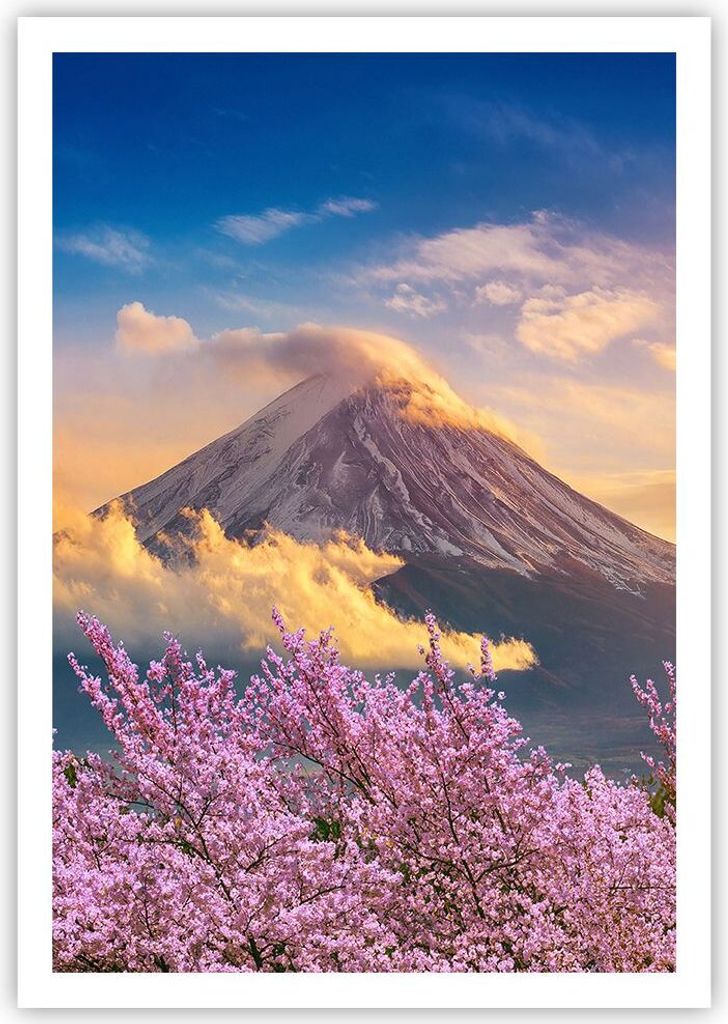 Poster - Poster ohne Rahmen - Fuji Blume Kirsche - 70x100 cm - Wand Bild - Wanddeko - Wandbilder - Kunstposter - Wandposter - Bilder - Kunstdruck -...