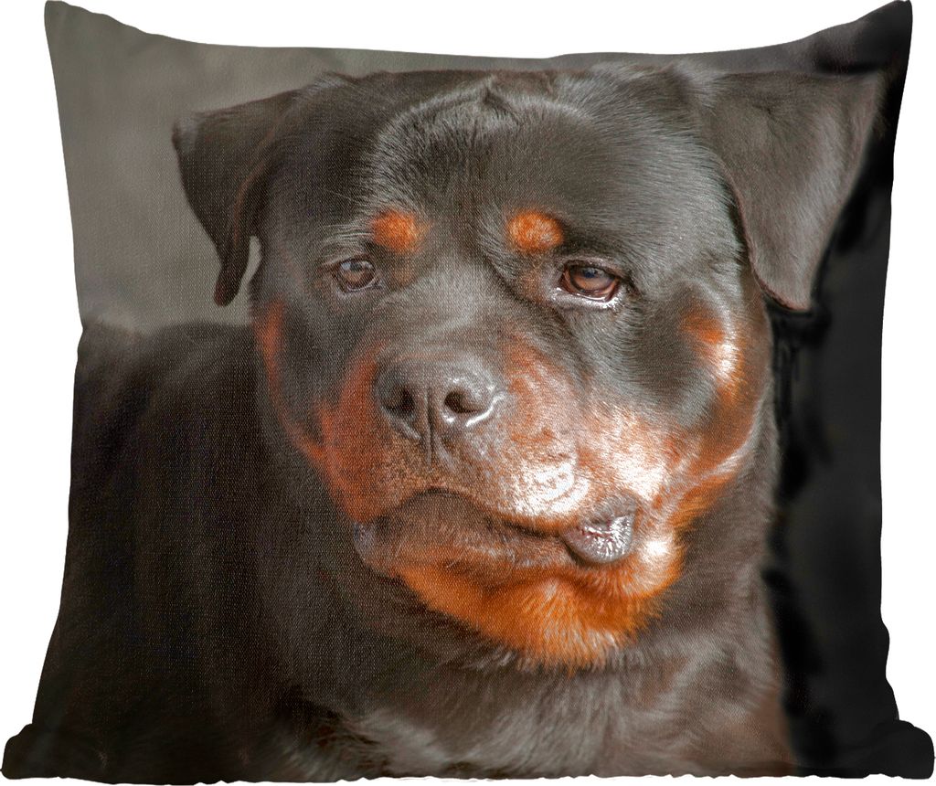 MuchoWow Zierkissen Sofakissen Wohnzimmer Dekokissen 60x60 cm Porträt eines Rottweilers im Atelier - Sitzfläche - Foto Polster