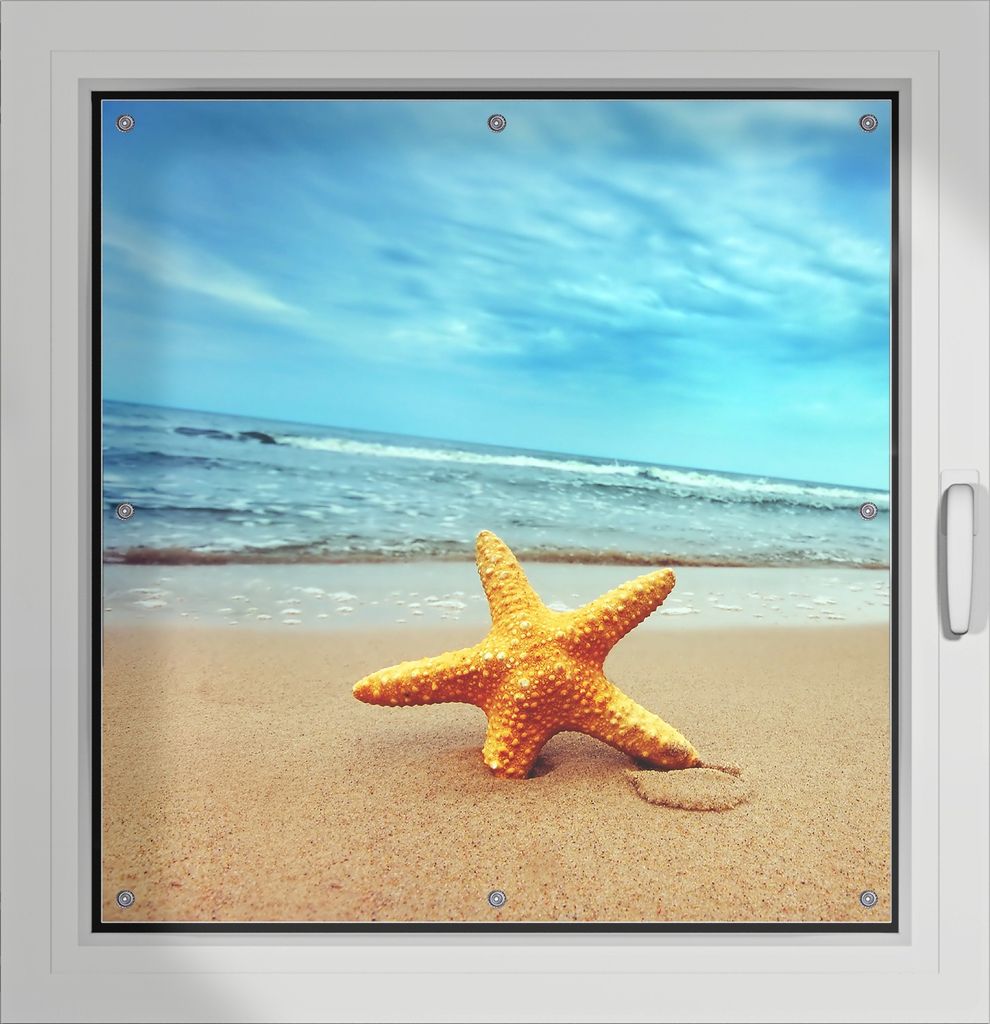 Wallario Lichtschutzbild, Dekorativer Sichtschutz Sonnenschutz 96 x 100 cm mit Motiv: Seestern am Strand am Meer - Verdunklung ohne Bohren