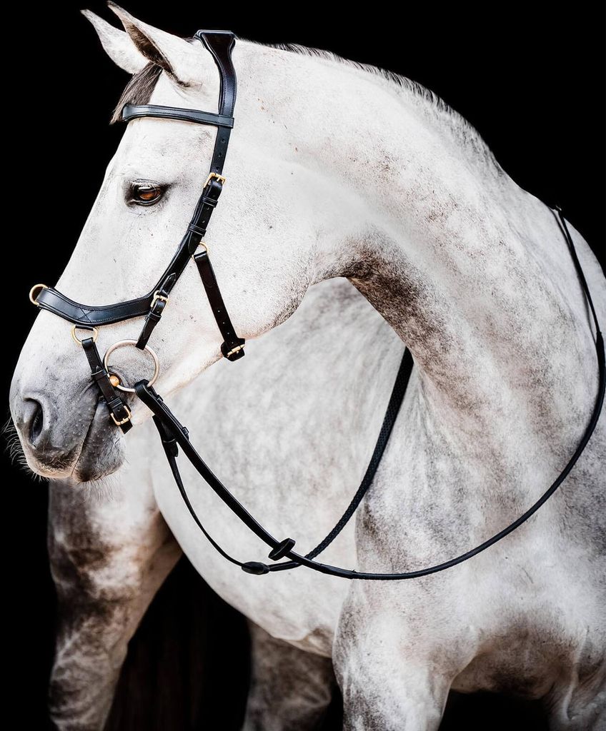 Horseware Ireland Snaffle Bridle Micklem 2 Multi Bridle Obrázek produktu 2