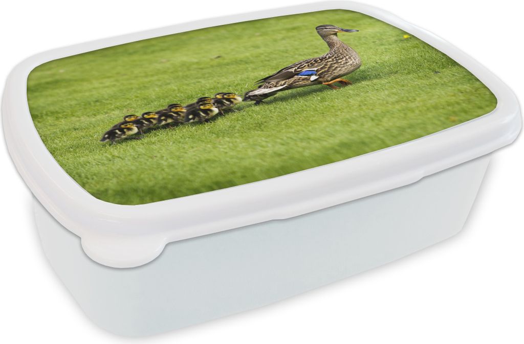 KitchenYeah Lunchbox Brotzeit Brotdose 17x11 cm Ente mit Jungen im Gras Kinder Brotzeitdose - Lunch Box - Kinder - Sandwich-Box - Schulbox - Lunc...