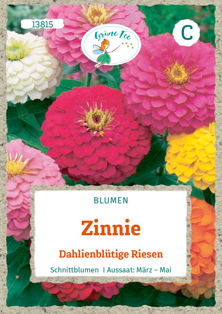 Grüne Fee - Zinnie Dahlienblütige Riesen Samen - 13815