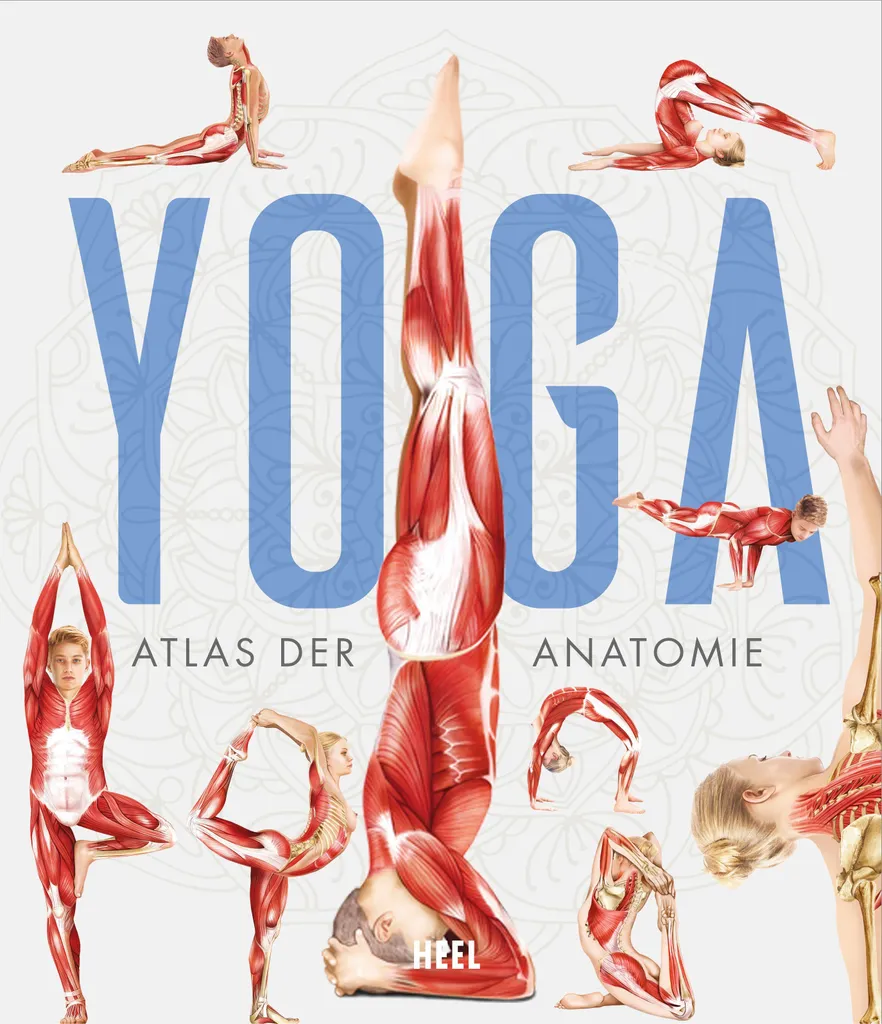 YOGA - Atlas der Anatomie : Comprendre le Corps et les Postures