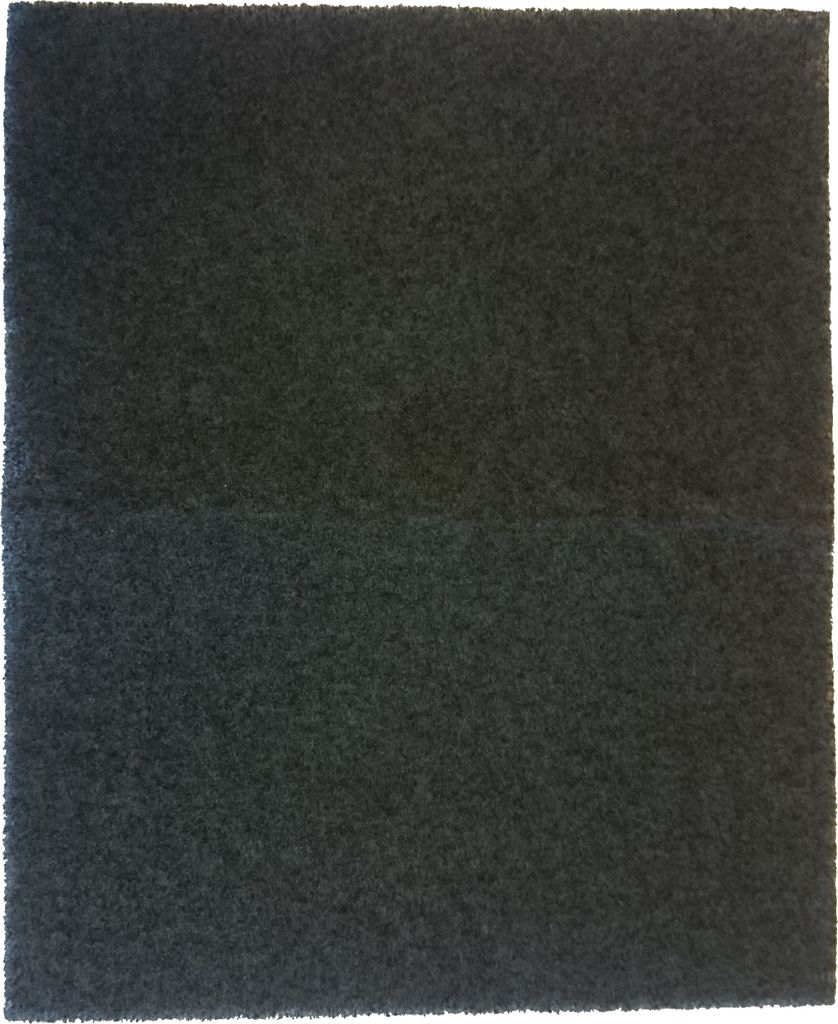 Kohlefilter FW-C380