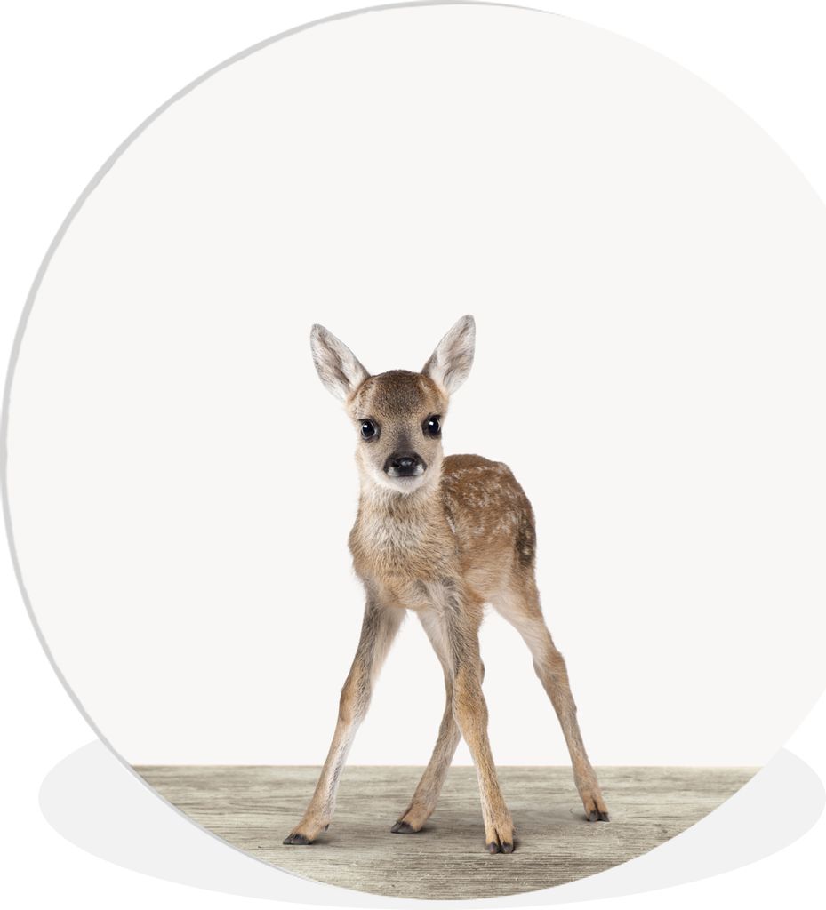 MuchoWow Rundes Wandbild - Runde Bilder Hirsche - Baby-Hirsche - Tiere - Mädchen - Jungen - Kinder Ø 90 cm Kreis Wanddekoration Kunststoff - Wa...