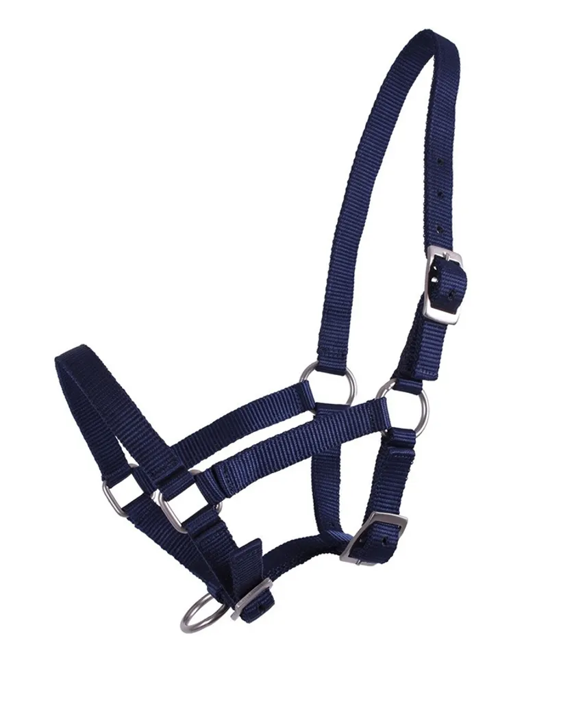 Cavezza per puledri QHP