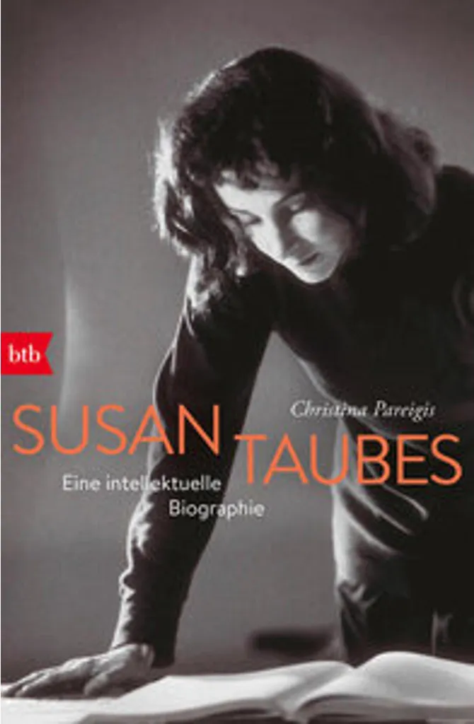 Comprendre Susan Taubes : Coffret complet pour maîtriser son œuvre