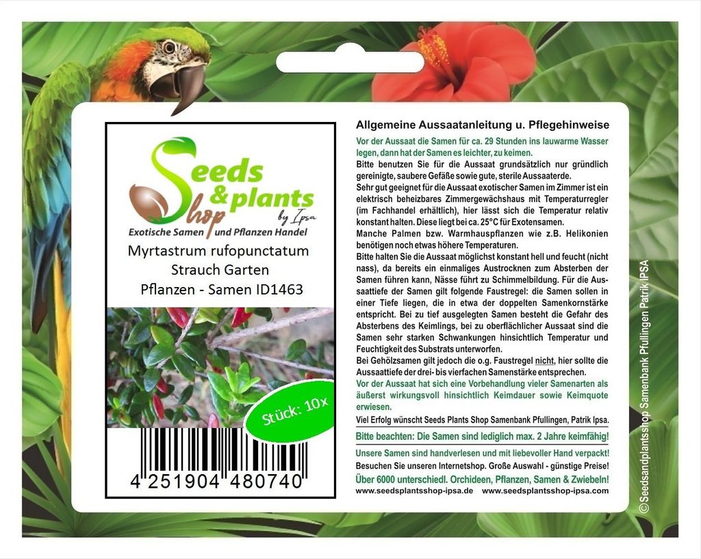 10x Myrtastrum rufopunctatum Strauch Garten Pflanzen - Samen ID1463