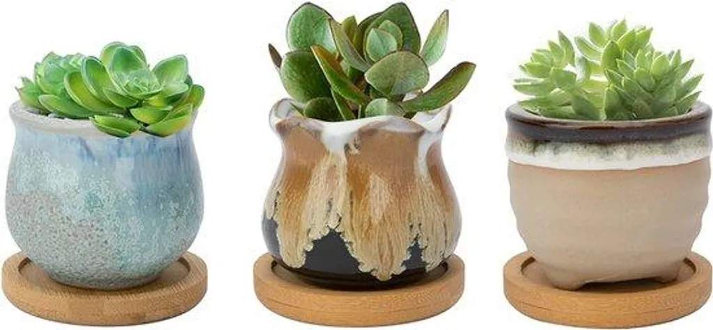 Décoration de bureau avec mini pots céramique pour cactus et succulentes