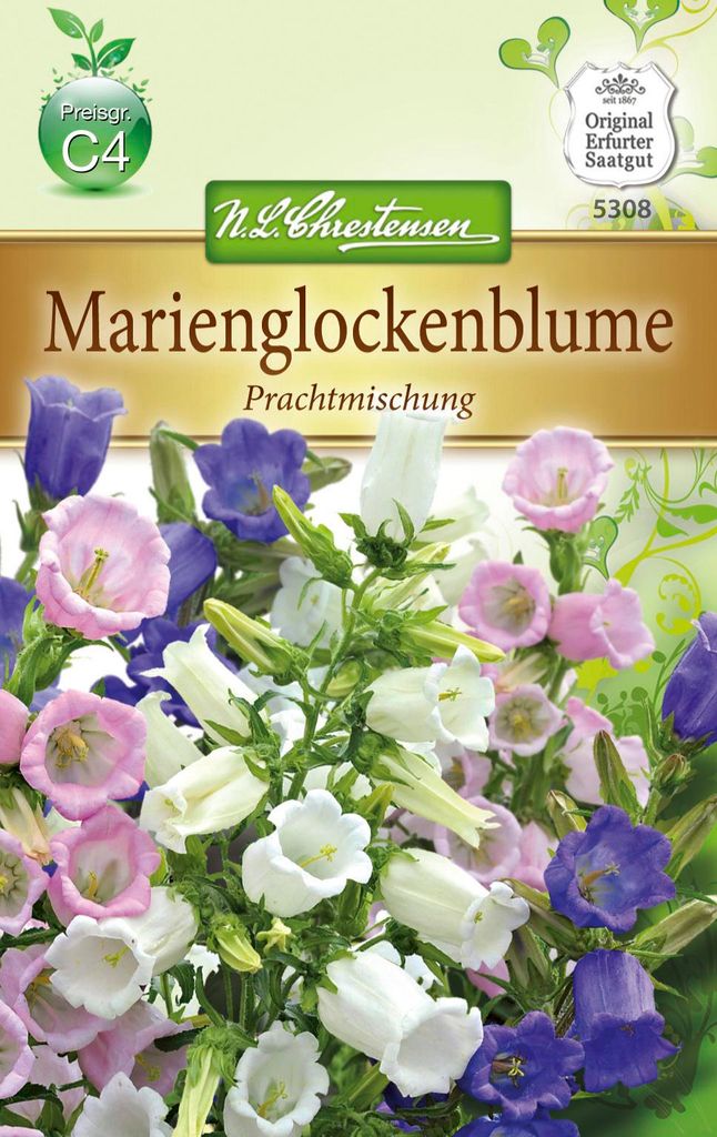 Artikelbild 1 von 'Marienglockenblume' aus der Kategorie Glockenblumensamen