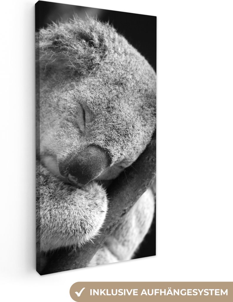 MuchoWow - Leinwandbilder - Schlafender Koala auf schwarzem Hintergrund, Wandbild, Wanddeko Bilder Wohnzimmer, 20x40 cm