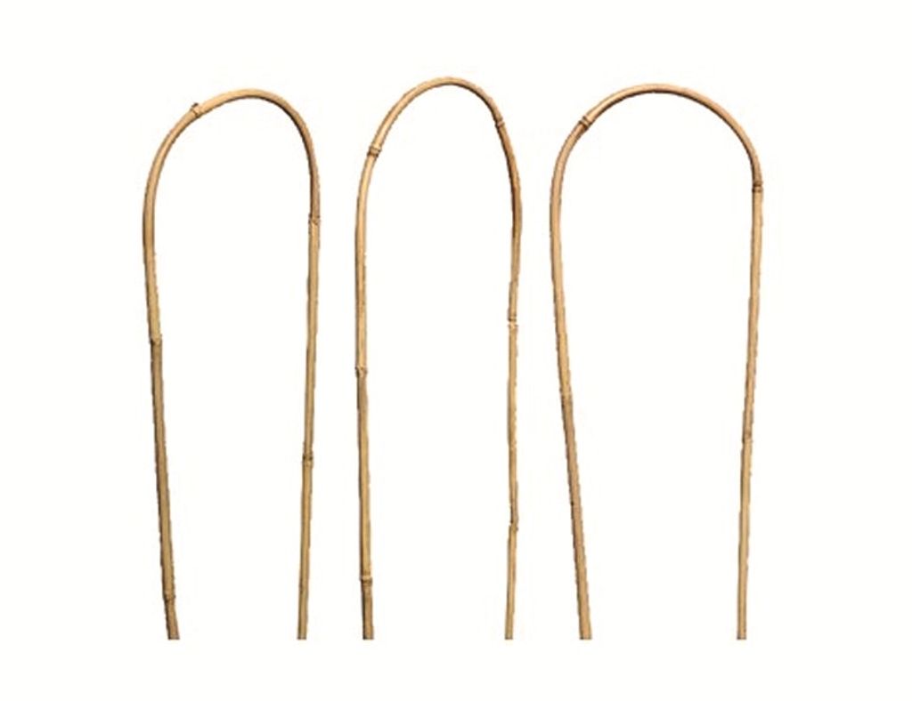 Siena Garden 'U SHAPE' Rankhilfe 120cm Bambus, U-Form, Ø12-14mm, natur (3er Pack)