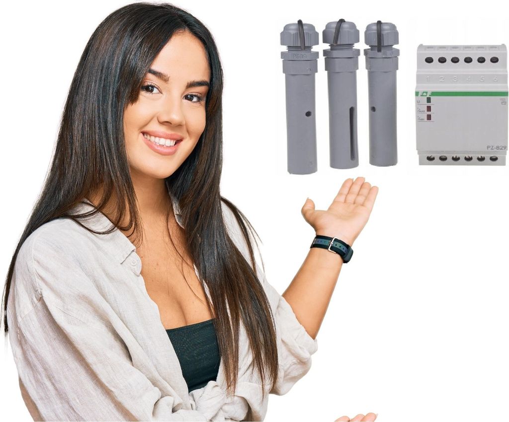F&F Steuerrelais PZ-829 Produktbild 