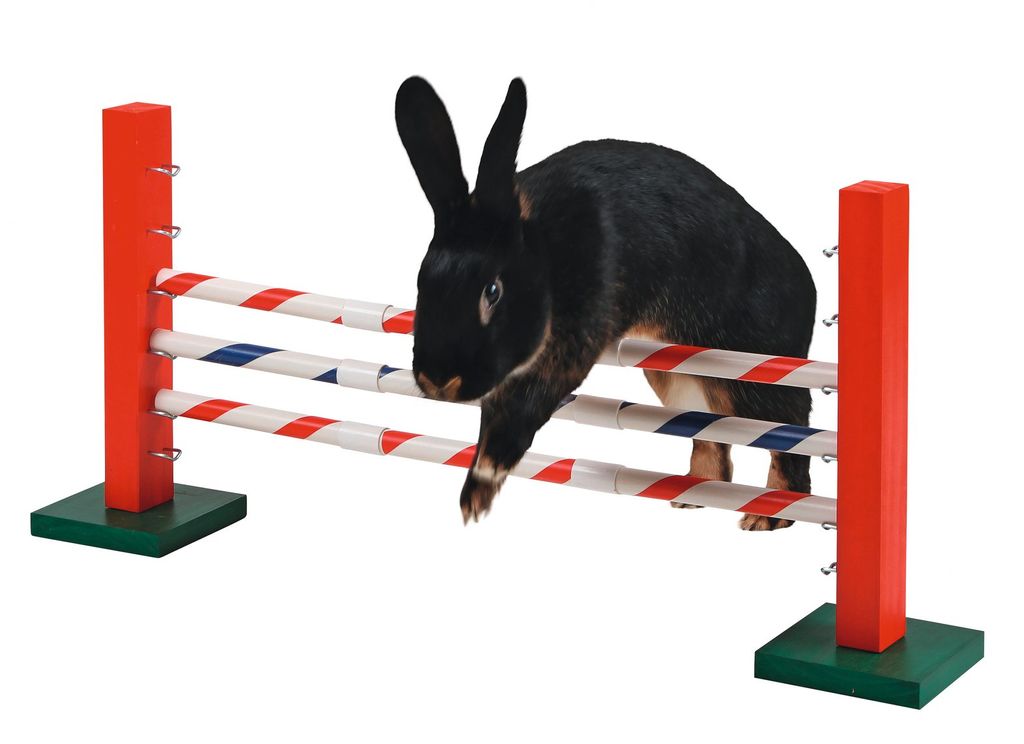 Kerbl Steilsprung für Nager Agility 70x5x35 cm