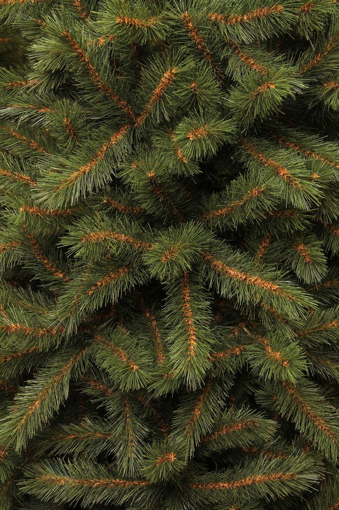 Black Box Trees Kingston Künstlicher Weihnachtsbaum - H215 cm - Grün