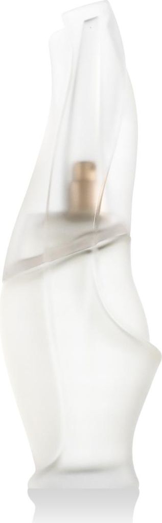 DKNY Donna Karan Cashmere Mist Eau De Toilette 100 ml (woman)