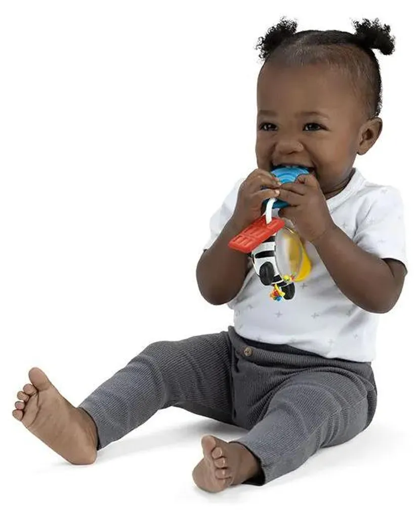 Anneau de dentition Baby Einstein Zen Hochet souple pour soulager bébé
