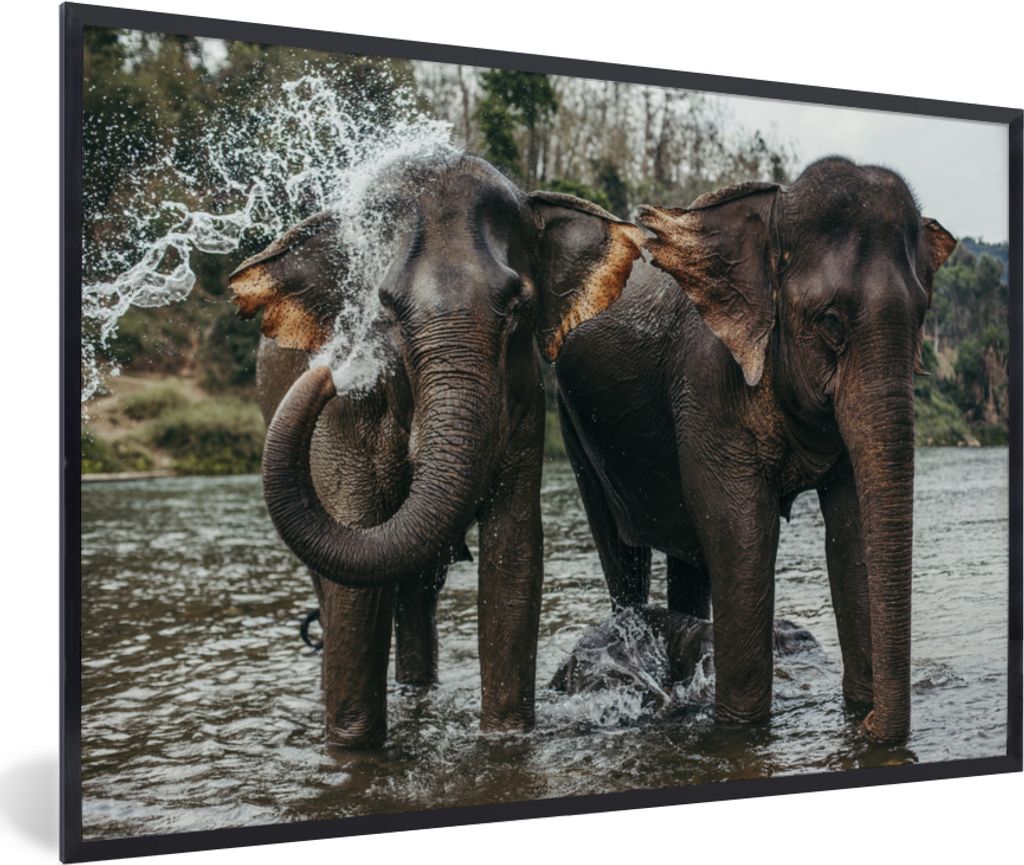 MuchoWow MuchoWow Gerahmtes Poster Elefant - Wasser - Fluss 90x60 cm - Poster mit zchwarzem Bilderrahmen - Fotorahmen - Foto-Plakat