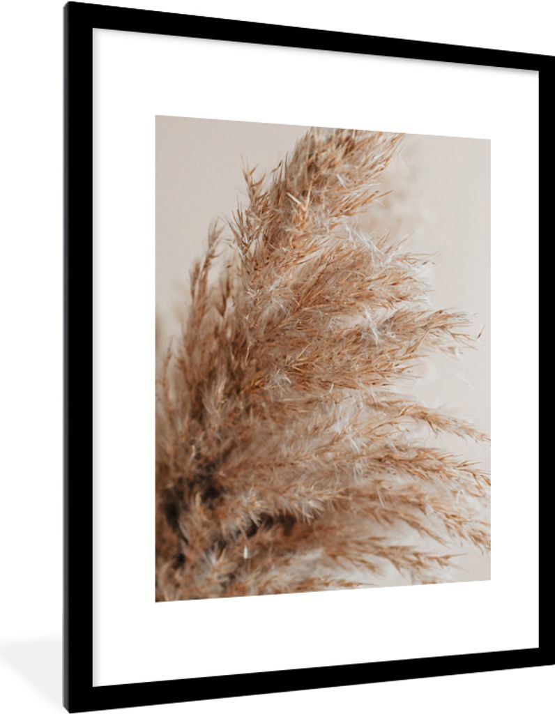 MuchoWow Gerahmtes Poster Gras - Pflanzen - Natur - Pampasgras 60x80 cm - Poster mit Schwarzem Bilderrahmen Wandposter Rahmen Foto Bilder - Wohnz...