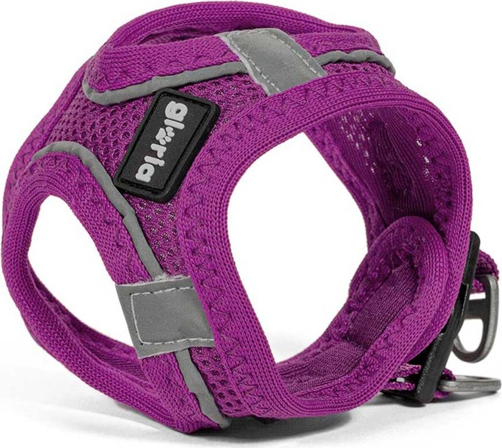 Hundegeschirr Gloria Trek Star 27-28 cm 31-34,6 cm Lila XS