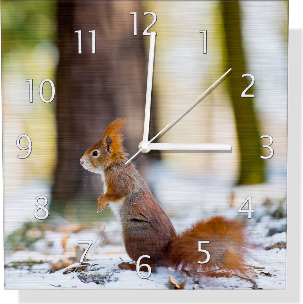 Wallario Design Wanduhr Neugieriges Eichhörnchen im verschneiten Wald aus Aluverbund, Größe 30 x 30 cm