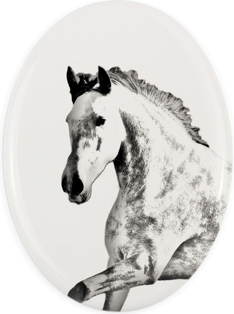 Andalusier - Gedenktafel mit einem Pferdefoto, Grabplatte mit Druck, personalisierte ovale Platte von Art-Dog.