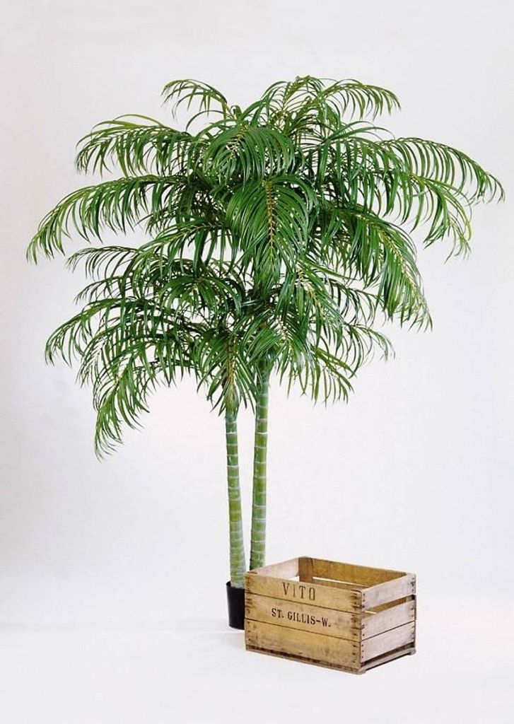 artplants.de Kunstpalme Areca Palme Naomi, 240cm - Künstliche Goldfruchtpalme