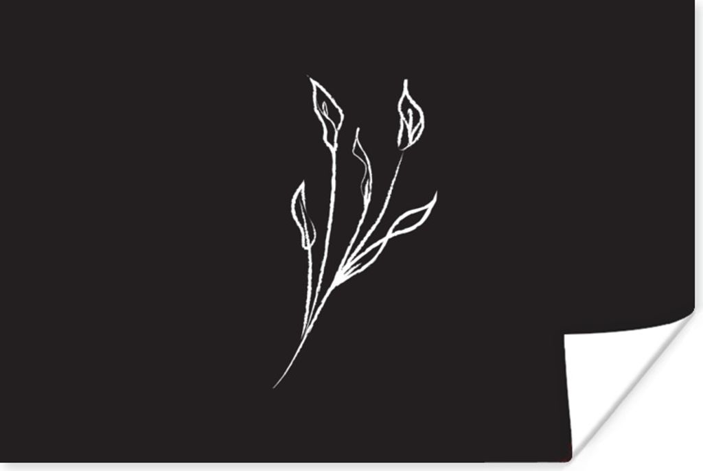 MuchoWow Poster Pflanzen - Strichzeichnungen - Schwarz 120x80 cm - Bilder