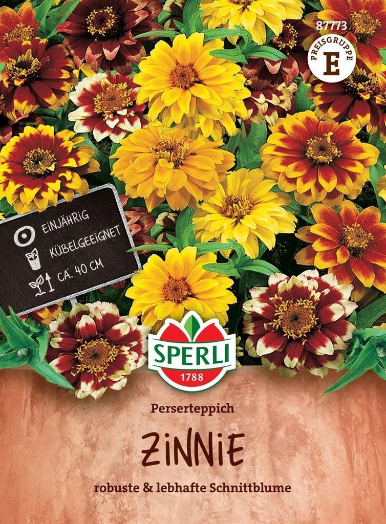 SPERLI Zinniensamen Perserteppich Zinnia angustifolia 50 Pflanzen