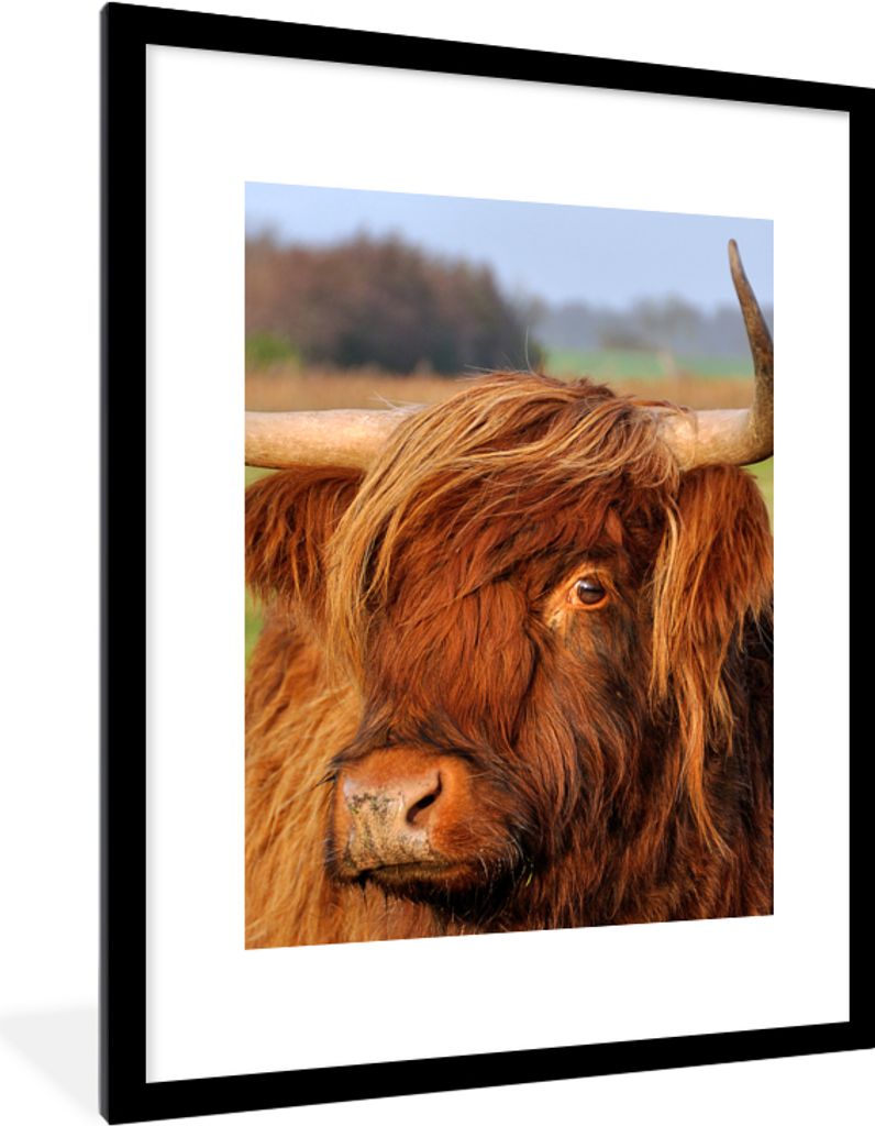 MuchoWow Gerahmtes Poster Schottischer Highlander - Gras - Baum 60x80 cm - Poster mit Schwarzem Bilderrahmen Wandposter Rahmen Foto Bilder - Wohn...