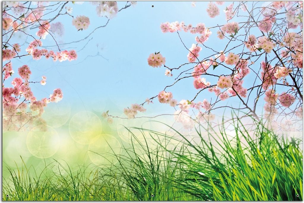 Wallario Outdoor-Poster für Garten oder Balkon, Motiv Kirschblütenzweige und grüne Wiese- Frühling, in ca. 61 x 91,50 cm