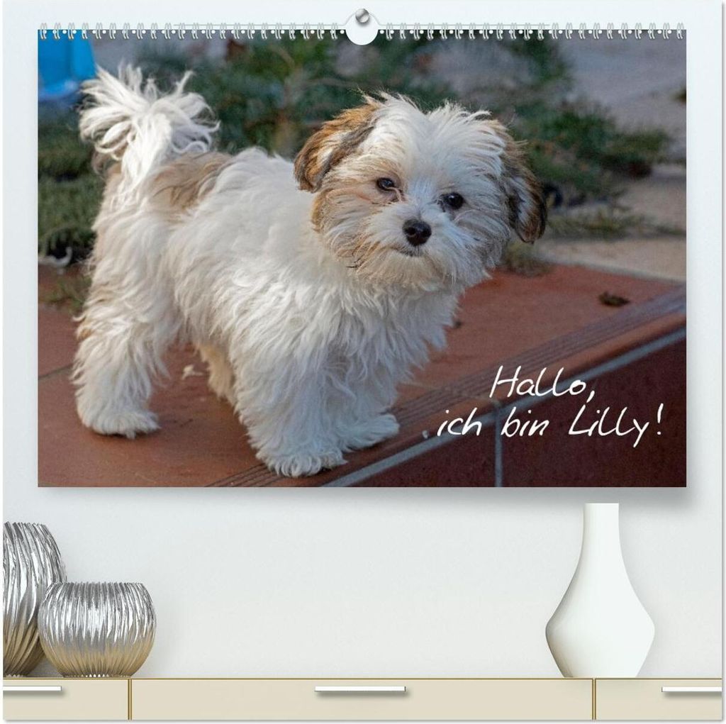 Hallo, ich bin Lilly (hochwertiger Premium Wandkalender 2026 DIN A2 quer), Kunstdruck in Hochglanz