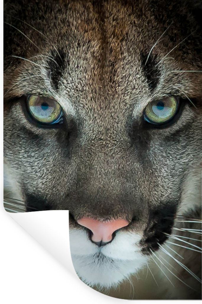 MuchoWow - Sticker - Dekorfolie