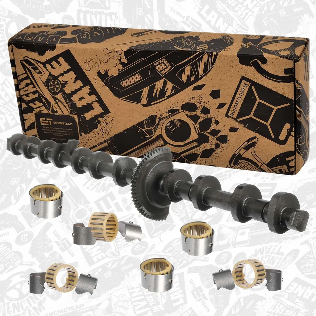 Réparation Valvetronic BMW E91 : Arbre excentrique HV0478VR1 ajustable