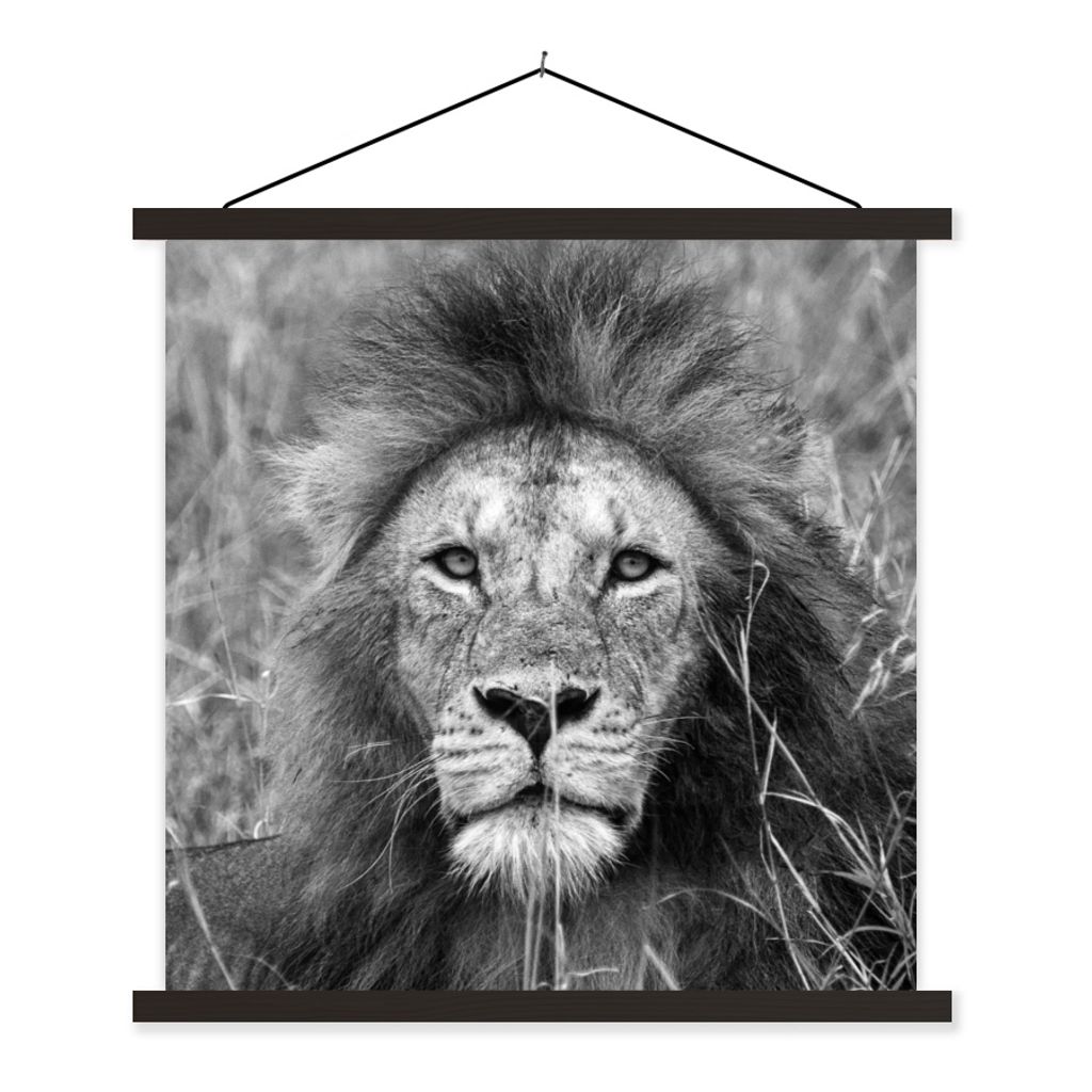 MuchoWow Textilposter Löwe - Porträt - Tiere 120x120 cm mit schwarzem Rahmen - Aufhängungsset