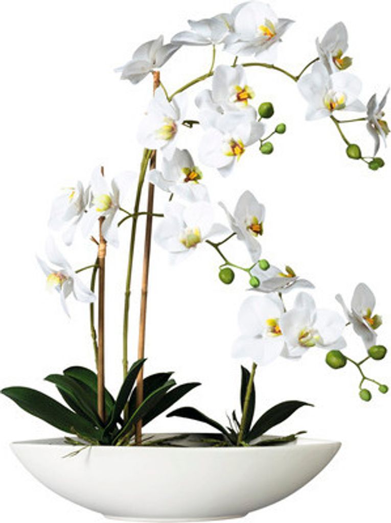 Kunstpflanze Phalaenopsis Höhe: 60 cm weiß