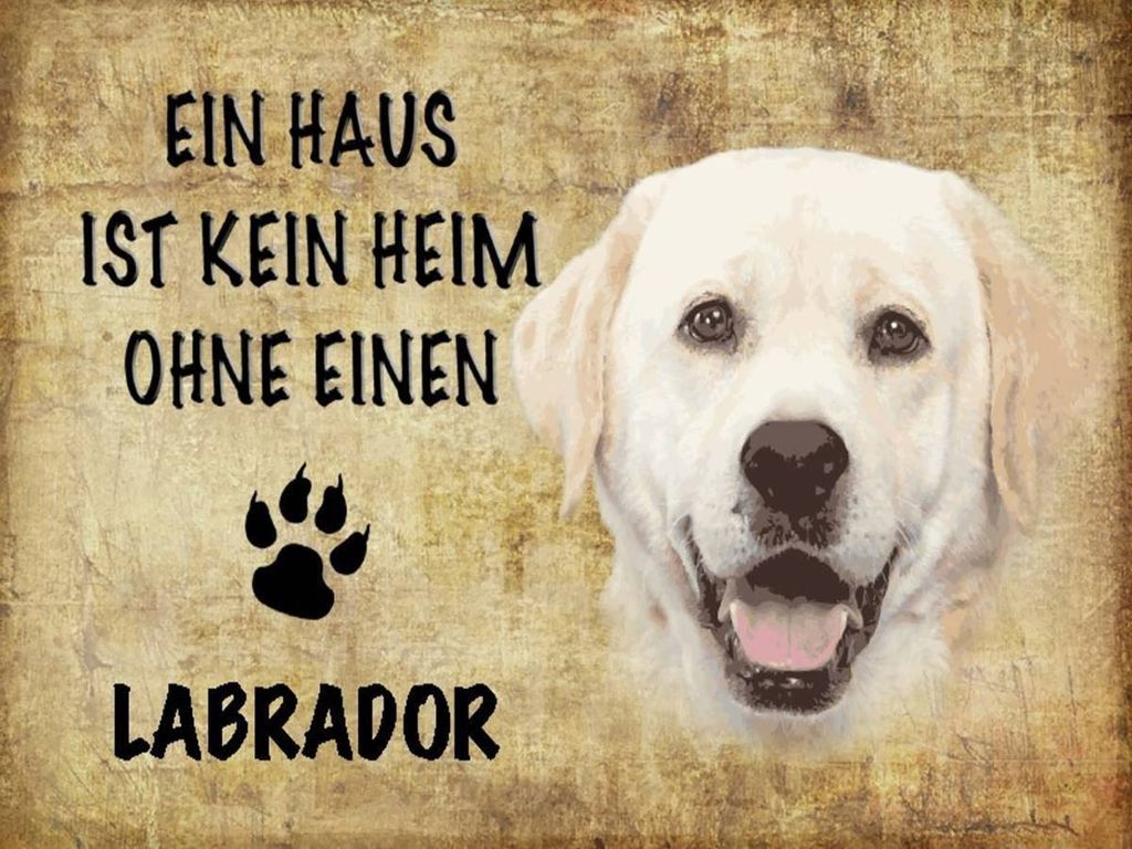 vianmo Holzschild 30x40 cm Labrador Hund ohne kein Heim