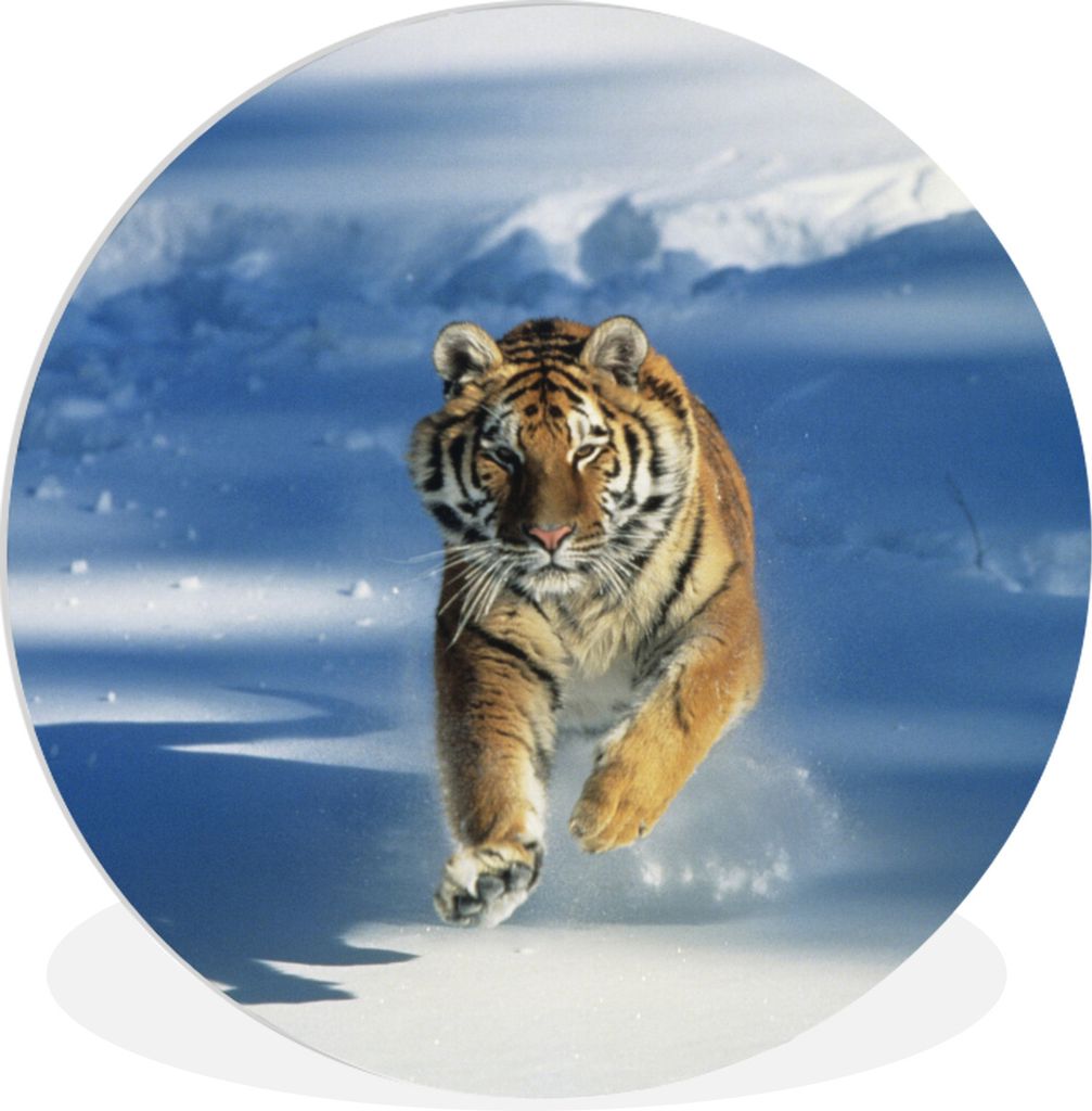 MuchoWow Rundes Wandbild - Runde Bilder Sibirischer Tiger in Aktion im Schnee Ø 90 cm Kreis Wanddekoration Kunststoff - Wandkreis - Wandschmuck ...