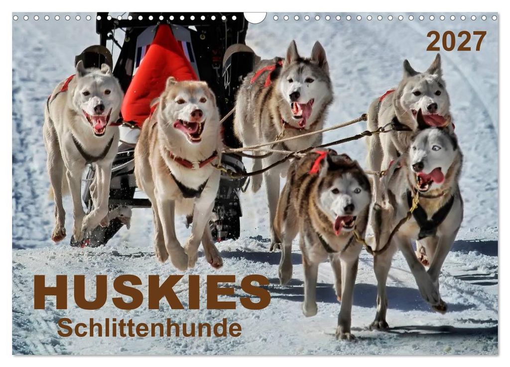 Huskies - Schlittenhunde (Wandkalender 2027 DIN A3 quer), CALVENDO Monatskalender