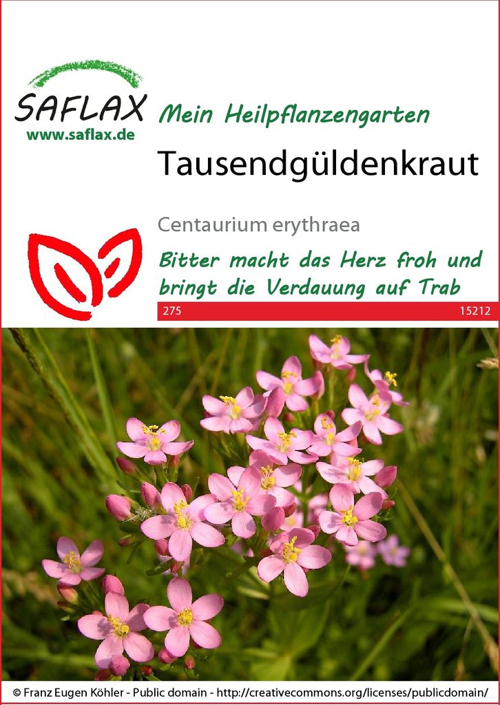 SAFLAX - Centaury - Centaurium erythraea - 250 Semená Obrázok produktu 6