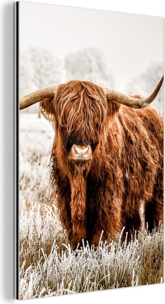 MuchoWow Wanddekoration Metall Metallbild Wandkunst 80x120 cm Schottisches Hochlandrind - Kuh - Natur - Winter MuchoWow Aluminium Gemälde - Bilder