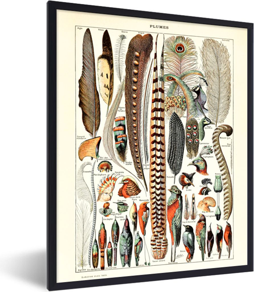 MuchoWow Gerahmtes Poster Federn - Tiere - Vögel 30x40 cm - Poster mit Schwarzem Bilderrahmen Wandposter Rahmen Foto Bilder - Wanddeko - Kunstdr...
